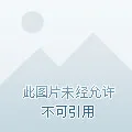 火焰纹章ENGAGE v2.0.0+老区长自制MOD+邪龙之封面