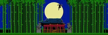 忍者封魔传 破碎忍者（中文）SHINOBI NON GRATA封面