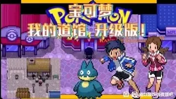 宝可梦：我的道馆封面