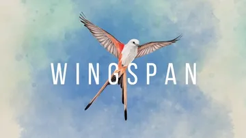 展翅翱翔|Wingspan中文封面