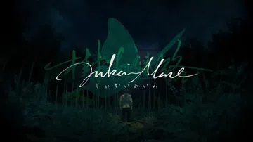 树海迷宫|Jukai Maze中文封面