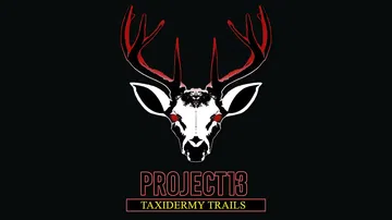 项目13：标本之路|Project 13: Taxiderm封面