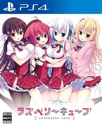 树莓立方体|Raspberry Cube日文封面