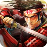 武士2 复仇（中文）移植游戏封面